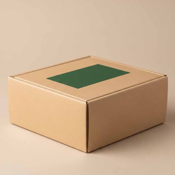 Kraft-Paper-Box-1-Color